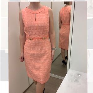 Tahari  formal/ office dress